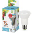 Лампа LED-R63-econom 5W/4000K 220В Е27 400Лм ASD
