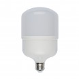 LED-M80-30W/DW/E27/FR/S Лампа светодиодная. Матовая. Серия Simple. Дневной свет (6500K). Картон. ТМ Volpe.