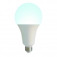 LED-A95-30W/6500K/E27/FR/NR Лампа светодиодная. Форма `A`, матовая. Серия Norma. Дневной белый свет (6500K). Картон. ТМ Volpe