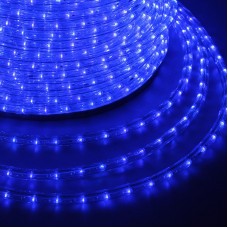 Дюралайт LED, постоянное свечение (2W) - синий, 24 LED/м, d10мм, бухта 100м