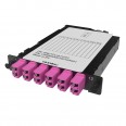 Претерминированная кассета 12ОВ 50/125 OM4, 1xMTP(12)f/6xLC Duplex (с интегрированными шторками), 1/2 HU