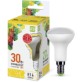 Лампа LED-R50-econom 3Вт 220В Е14 3000K 250Лм ASD