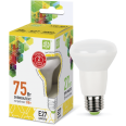 Лампа LED-R63-econom 8W/3000K 220В Е27 650Лм ASD