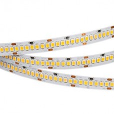 Светодиодная лента RT 2-5000 24V Cool 8K 10mm (2835, 252 LED/m, LUX) (ARL, 10 Вт/м, IP20)