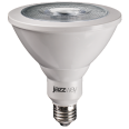 Jazzway Лампа PPG PAR38 Agro 15w E27 IP54 (для растений)