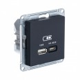 ATLASDESIGN USB РОЗЕТКА A + тип-C 45Вт высокоскор.заряд. QC, PD, механизм, КАРБОН